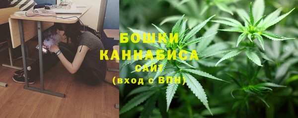 гашик Карталы