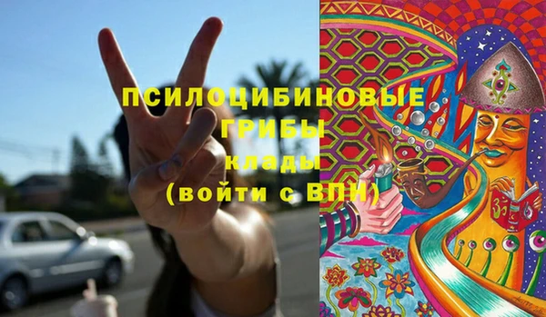винт Карпинск