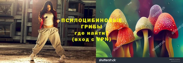 гашик Карталы
