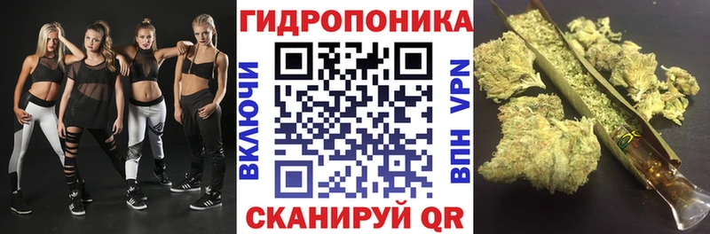 Купить  Верхнеуральск  Канабис VHQ 